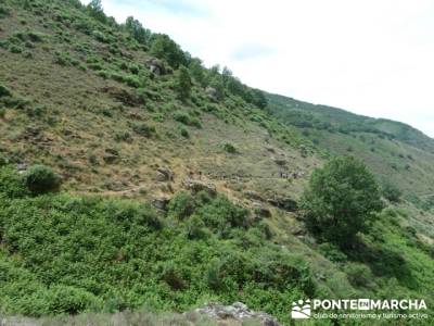 Parque Nacional Monfragüe - Reserva Natural Garganta de los Infiernos-Jerte;viajes octubre